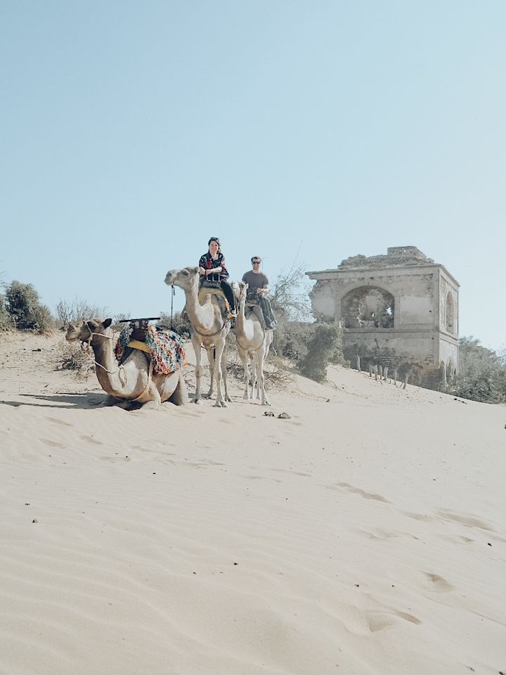 Made for the desert