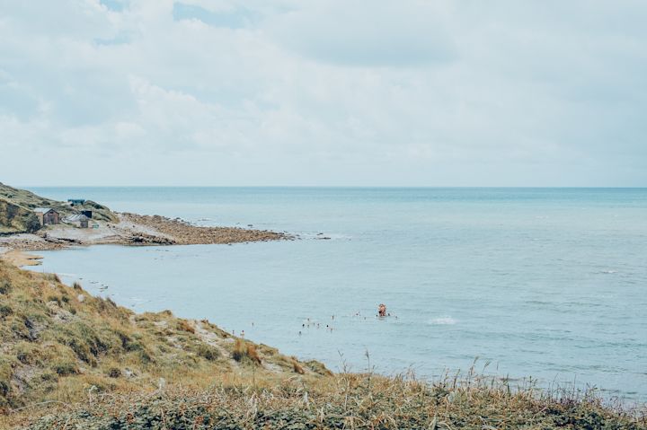 Wild Swim