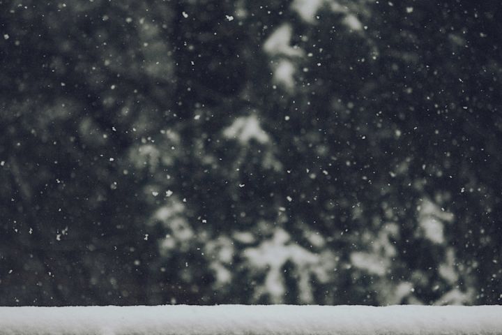 Christmas Snow