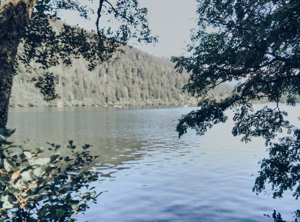 Lakeside