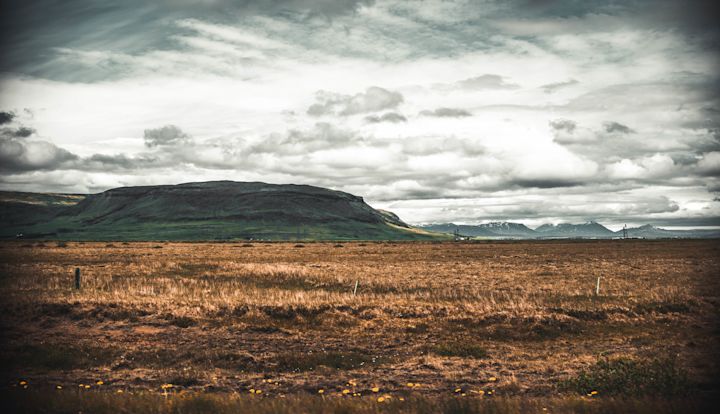 Rugged beauty