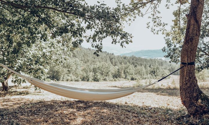 The Hammock