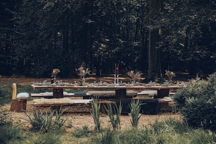 Secluded Dining Experience