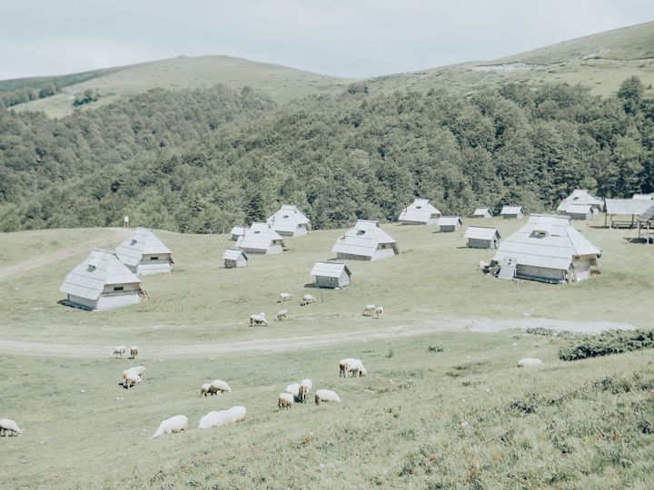 Up in the hills