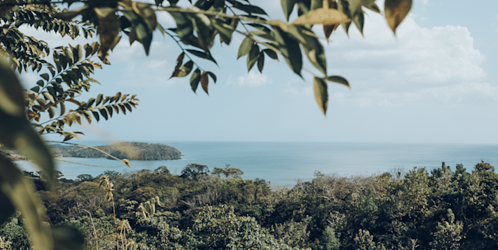 Serene Views