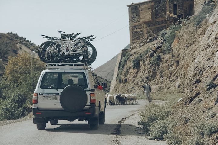 Rugged transfer