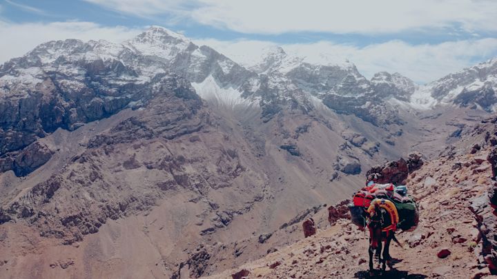 Mule trekking through the mountains