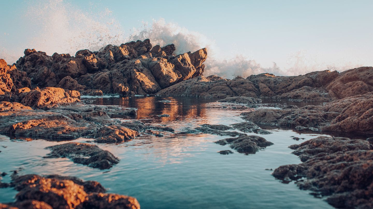 tyler-schaefer-1416068-unsplash