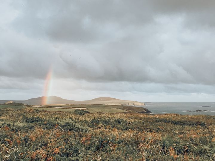Rainbow
