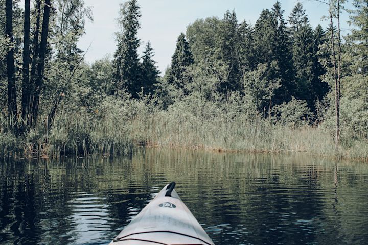 Kayak river views