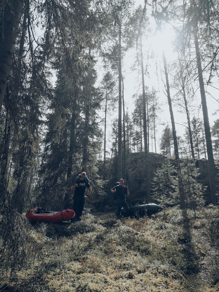 In the trees