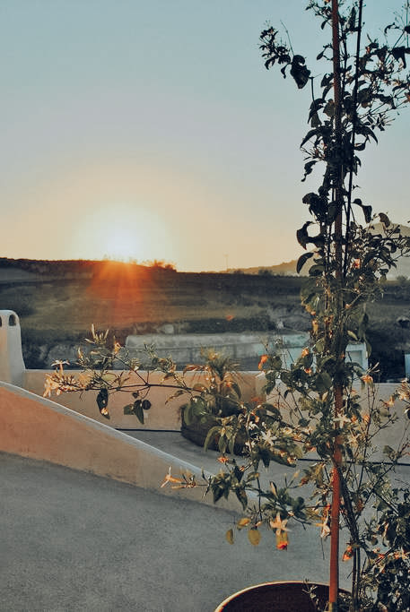 Magical sunsets