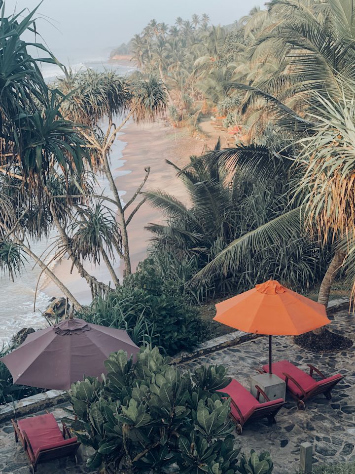 Beach View