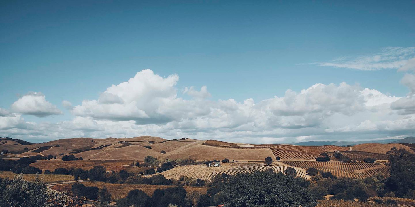 Sonoma