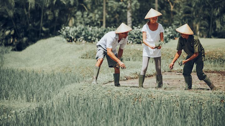 In the fields