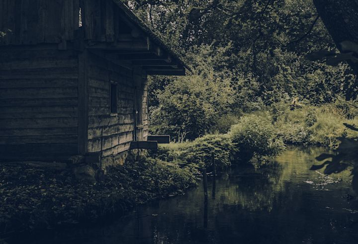 Secrets of the forest