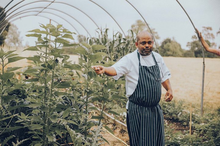 Picking the Harvest