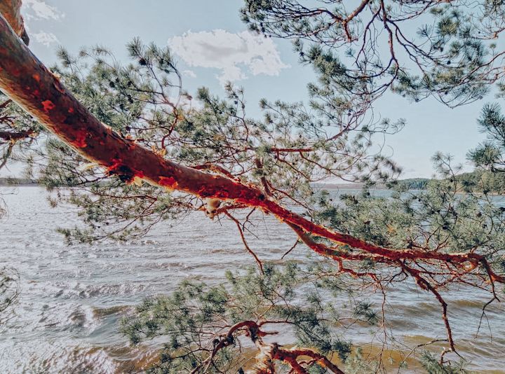 Natural views