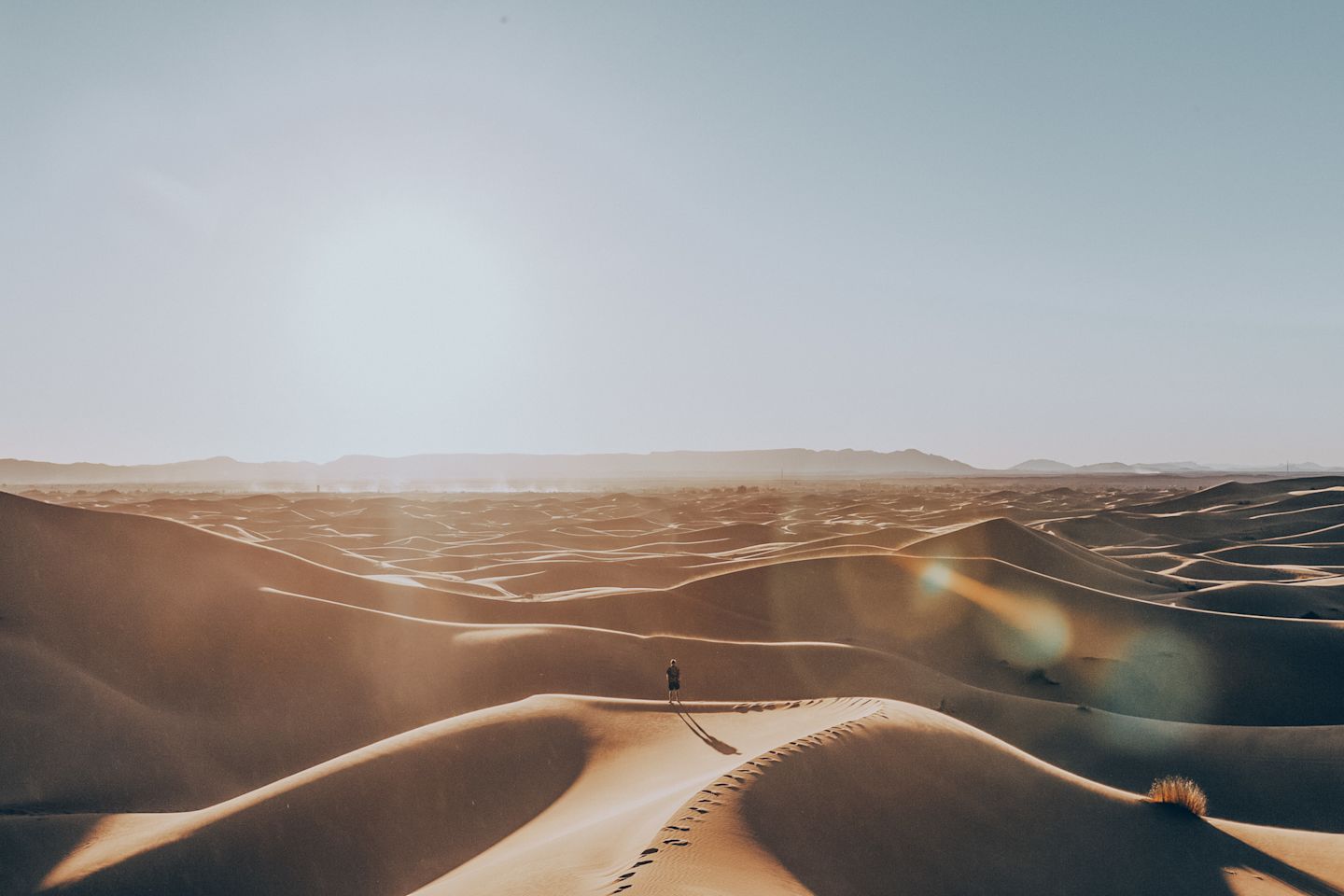 Amid the rolling dunes