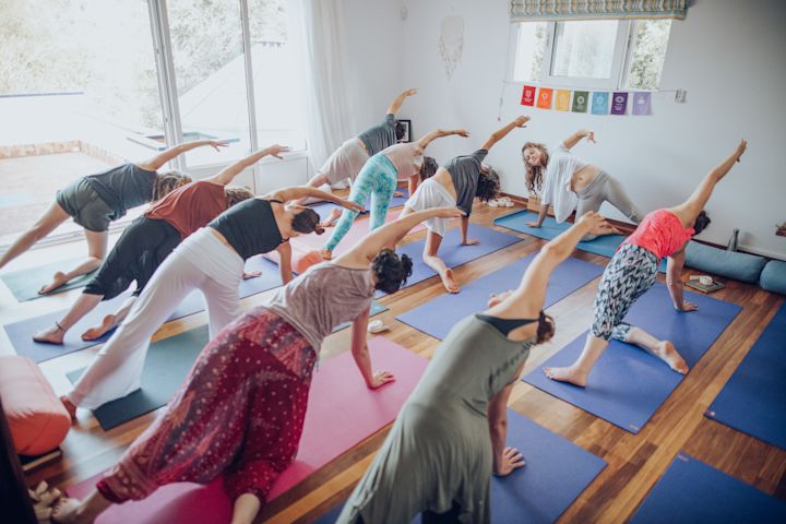 Hatha and Vinyasa flow