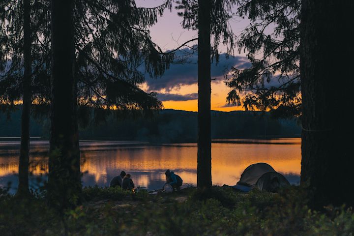 Wild living