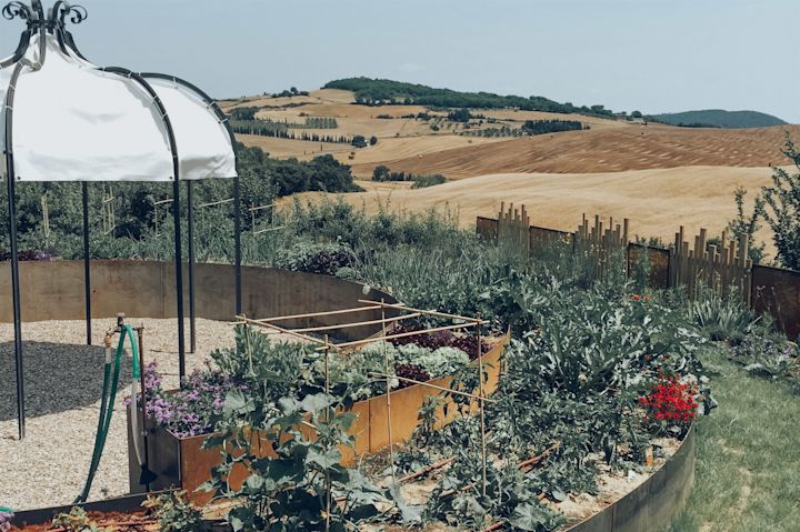 veggie garden