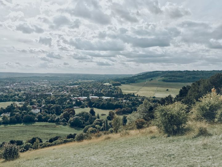 denbies viewed from box hill