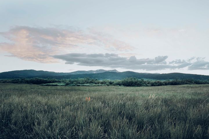 Green Landscape