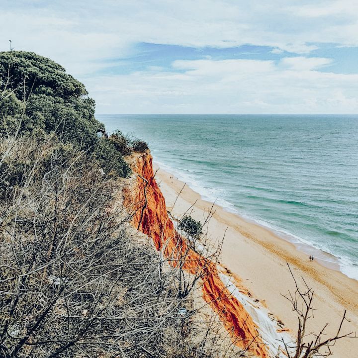 Beach Views