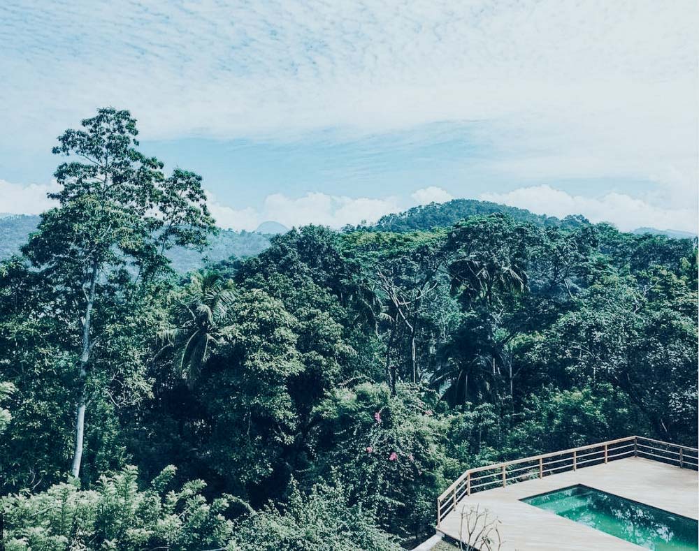 Pool Jungle View