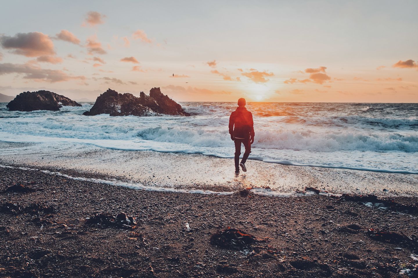 joshua-earle-223653-unsplash