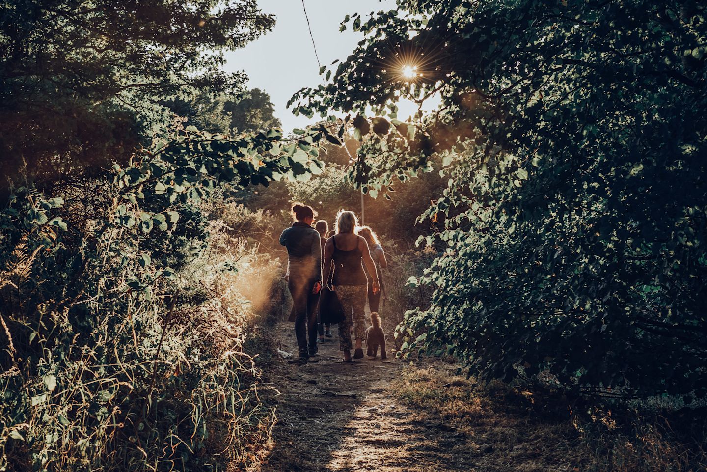 Peaceful Trails