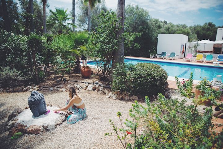 Pool between palms