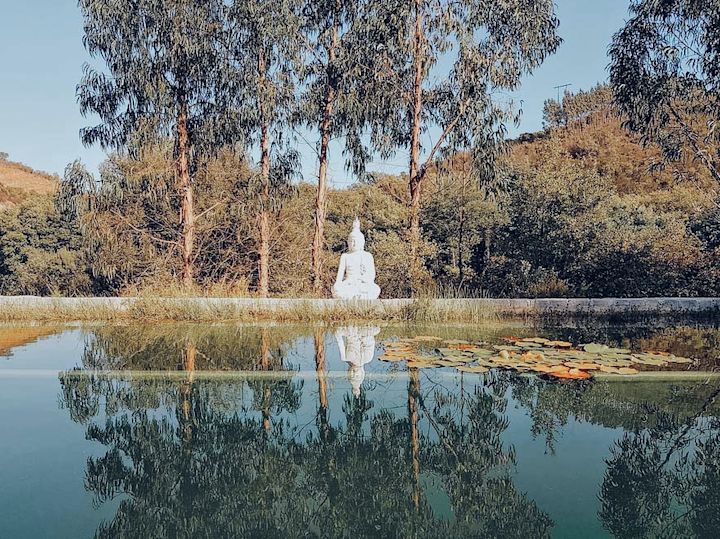 Poolside Zen
