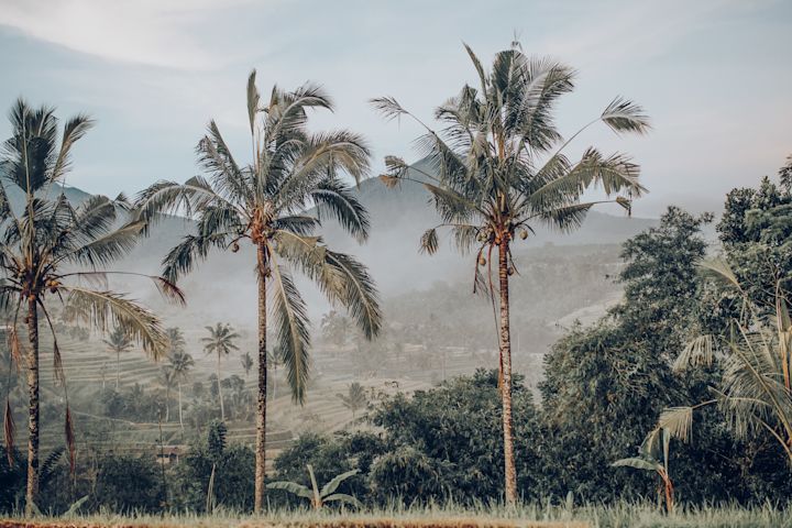 scenery