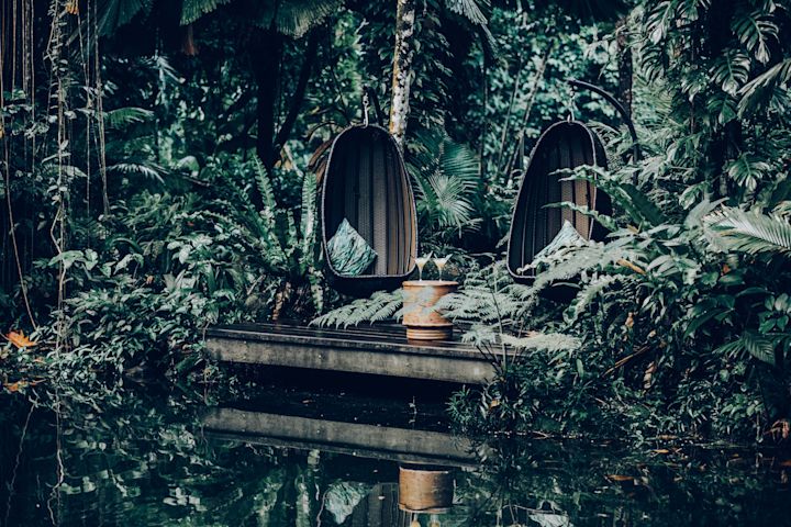 Waterside Sanctuary