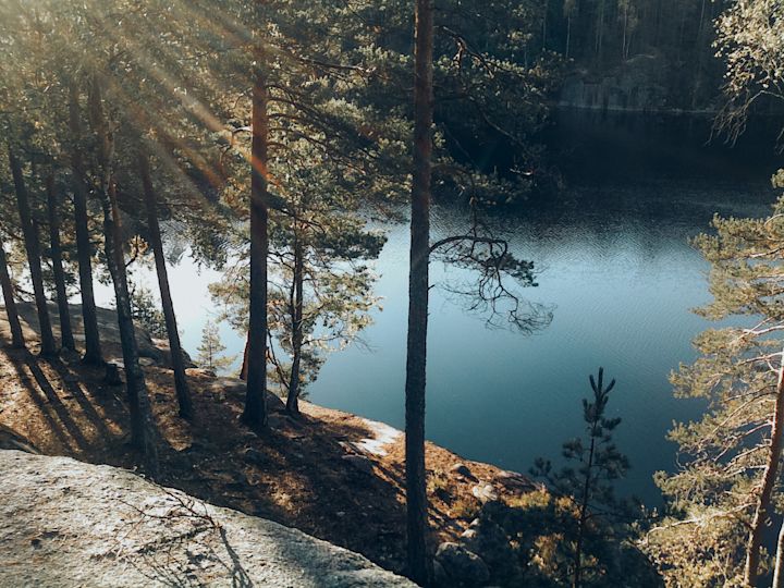 Views from your treehouse tent