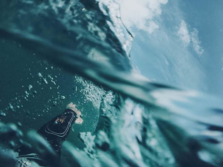 Wild Swim
