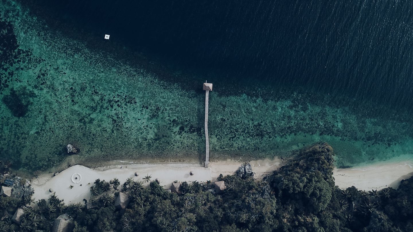 TFLORALDRONE6