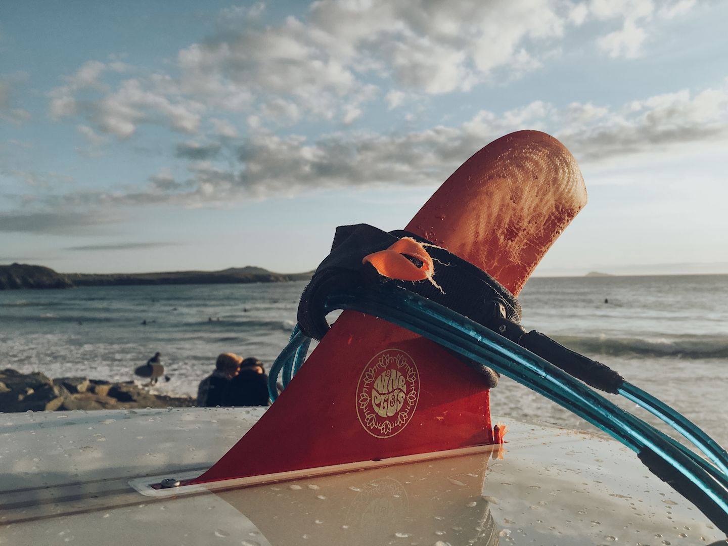 Surf's up