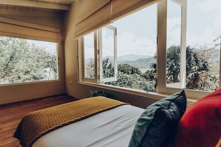 Jungle Loftroom