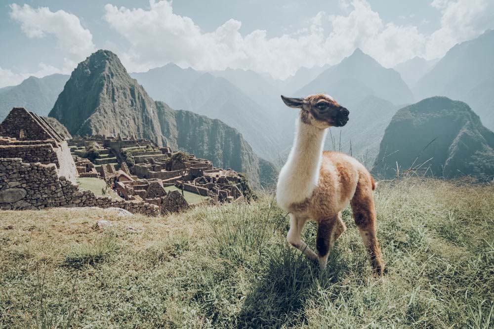 Machu Picchu