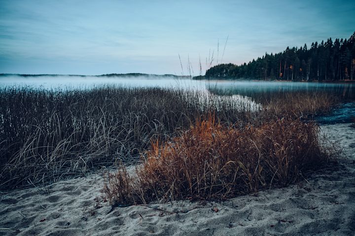 Views of the lake