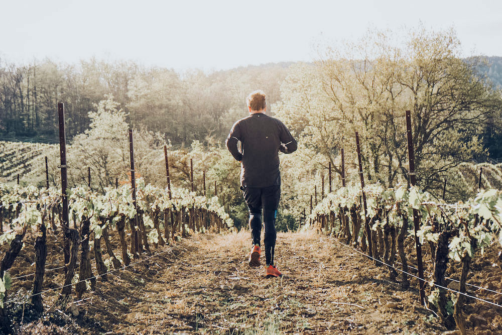 Jogging Through the Vineyards