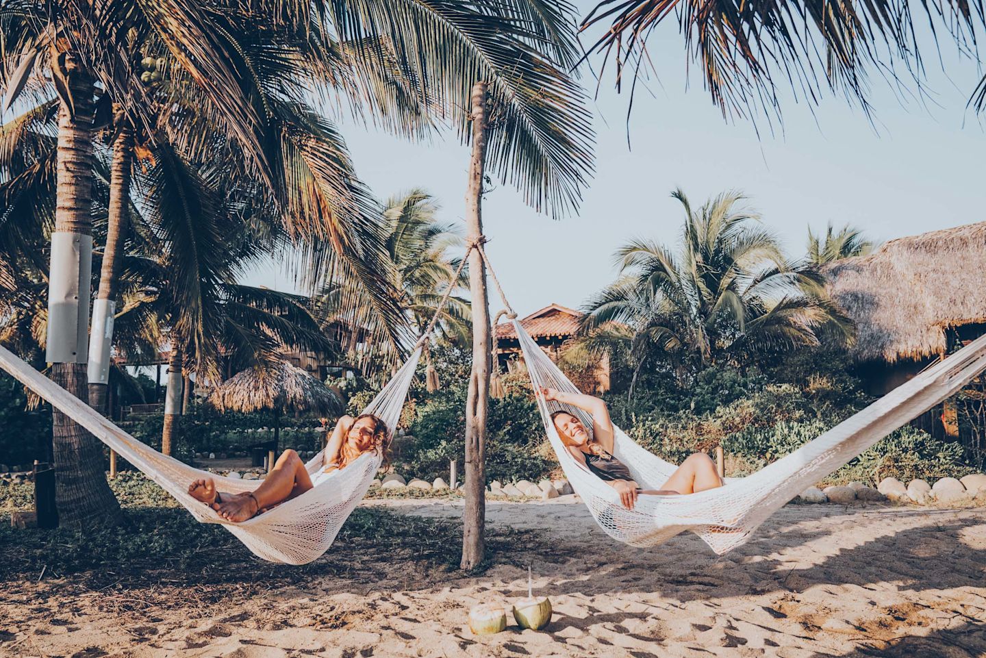 Hammock Hangout