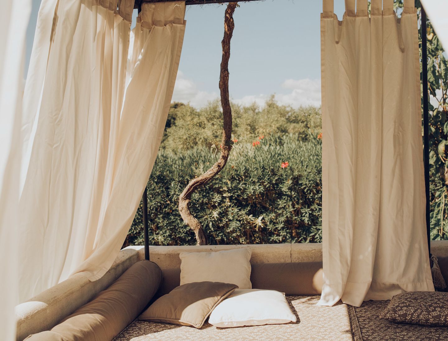 Outdoor Lounging