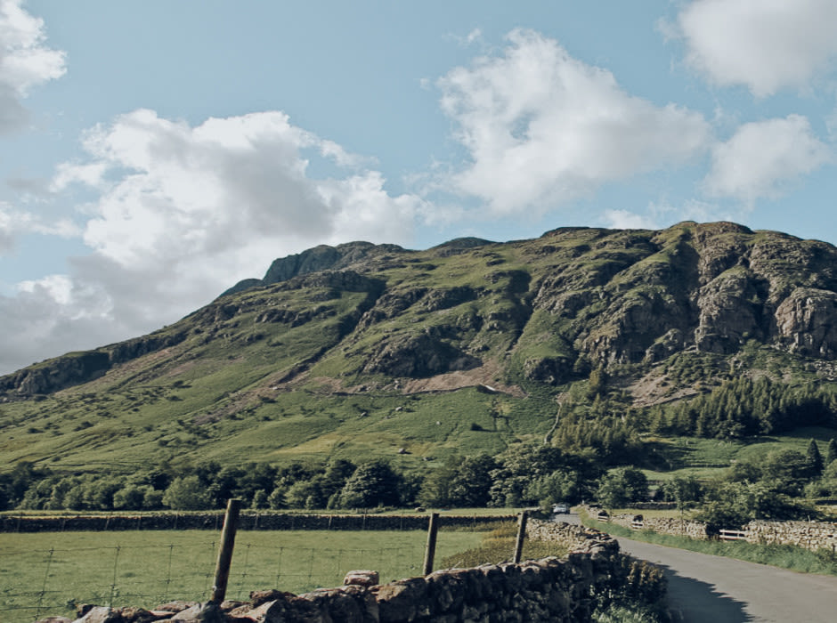 Hillside