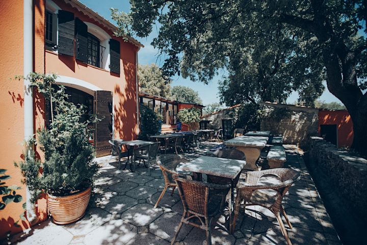 Shady lunch spot
