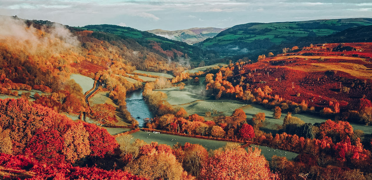 Scenery