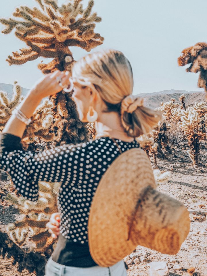 desert Walk